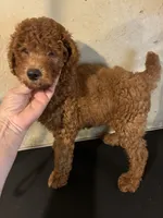 processed/1178ca29-2808-4c54-a89c-1596e8ad06ea/listing/2c0b510f-5198-4bb2-8e1c-53ed1adf22f6/f45493b3-646d-40d6-aa53-01fc77be0441