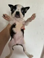 processed/1178ca29-2808-4c54-a89c-1596e8ad06ea/listing/66b397d8-3e93-4ef9-ae94-f85865507f67/78dfdce2-1156-498b-8c77-6a7e139ad022