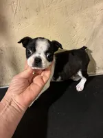 processed/1178ca29-2808-4c54-a89c-1596e8ad06ea/listing/66b397d8-3e93-4ef9-ae94-f85865507f67/8cc8125d-c1ff-4a1e-8cce-1d92a1d82efb