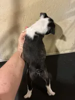 processed/1178ca29-2808-4c54-a89c-1596e8ad06ea/listing/66b397d8-3e93-4ef9-ae94-f85865507f67/e2adebce-c497-4ad2-bb2e-fc246e6d9b6f