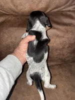 processed/1178ca29-2808-4c54-a89c-1596e8ad06ea/listing/705191e2-e90c-4795-8868-320ee9bf5635/c2ea9966-1cd8-45a2-aedb-c91eb644e823