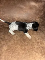 processed/1178ca29-2808-4c54-a89c-1596e8ad06ea/listing/705191e2-e90c-4795-8868-320ee9bf5635/f4b4540e-55c0-443e-a368-25abae9b2bbc