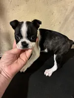 processed/1178ca29-2808-4c54-a89c-1596e8ad06ea/listing/ea5394d0-5890-4401-b057-a3d68f6ebe80/a5a4083f-8bd6-49f5-9072-39ed88b045e5