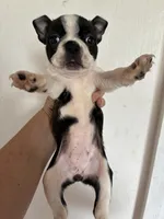 processed/1178ca29-2808-4c54-a89c-1596e8ad06ea/listing/ea5394d0-5890-4401-b057-a3d68f6ebe80/fd082b43-0641-4513-9939-10670ae72fb0