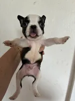 processed/1178ca29-2808-4c54-a89c-1596e8ad06ea/listing/f2ae694c-9b2d-4bcb-91c5-a15e2fde67bc/dcf93342-77e2-4408-97f2-21421c54ca78