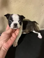 processed/1178ca29-2808-4c54-a89c-1596e8ad06ea/listing/f2ae694c-9b2d-4bcb-91c5-a15e2fde67bc/e6c2d631-3689-4e12-86b8-ca029f375182