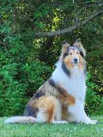 processed/117a0f8e-baaf-482c-a359-8d60f681588a/facility/0cbc1a6a-0d4c-4507-933a-92f3a4f061ac