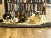 processed/117a0f8e-baaf-482c-a359-8d60f681588a/facility/96a4d98c-5983-4789-886c-106dad058c9a