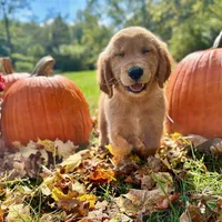 processed/117a4b65-ceda-422e-a0ec-c38bfe77a97d/facility/09334d15-a502-4c7c-b71e-adb79ed74f7c