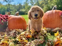 processed/117a4b65-ceda-422e-a0ec-c38bfe77a97d/facility/09334d15-a502-4c7c-b71e-adb79ed74f7c