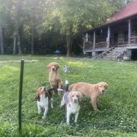 processed/117a4b65-ceda-422e-a0ec-c38bfe77a97d/facility/0f96b1b5-6040-405c-8093-4f26511338eb