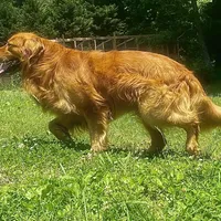 processed/117a4b65-ceda-422e-a0ec-c38bfe77a97d/facility/45647137-aa46-49f7-b9a1-e9507cd113fa