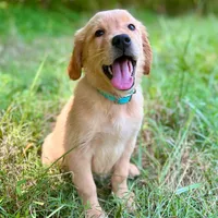 processed/117a4b65-ceda-422e-a0ec-c38bfe77a97d/facility/801019f7-4b79-449c-b89a-c242d057be6d