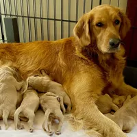 processed/117a4b65-ceda-422e-a0ec-c38bfe77a97d/facility/871d11e8-21d8-4b2c-b934-06399cada501