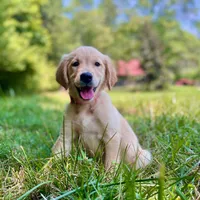 processed/117a4b65-ceda-422e-a0ec-c38bfe77a97d/facility/95c95f94-156d-45ba-a17a-15888df02faf