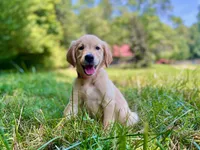 processed/117a4b65-ceda-422e-a0ec-c38bfe77a97d/facility/95c95f94-156d-45ba-a17a-15888df02faf