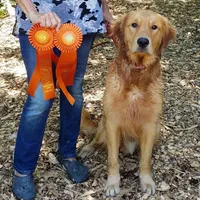 processed/117a4b65-ceda-422e-a0ec-c38bfe77a97d/facility/a3a269be-21d4-4462-9ce4-105f6a747d43