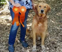 processed/117a4b65-ceda-422e-a0ec-c38bfe77a97d/facility/a3a269be-21d4-4462-9ce4-105f6a747d43