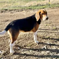 processed/117a4b65-ceda-422e-a0ec-c38bfe77a97d/facility/cbbed15d-17e4-46ab-bcd0-f5f12a5e0f9b