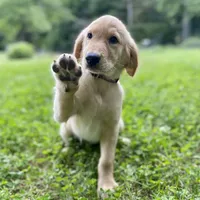 processed/117a4b65-ceda-422e-a0ec-c38bfe77a97d/facility/d2daf0ca-5ca0-45fc-ba44-cef1e540029e