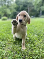 processed/117a4b65-ceda-422e-a0ec-c38bfe77a97d/facility/d2daf0ca-5ca0-45fc-ba44-cef1e540029e