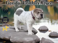 processed/117e6157-72f3-4e27-a69c-edcbc1bf6289/facility/16be30ff-30d1-4eb9-ad2f-b679f65cdfb3