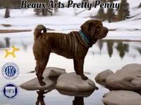 processed/117e6157-72f3-4e27-a69c-edcbc1bf6289/facility/1d4fdcd9-5a59-4447-9ed4-d809387fff7b