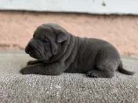 processed/117e6157-72f3-4e27-a69c-edcbc1bf6289/facility/2c2dc903-fb45-40c1-8a9c-3c9010fdc964