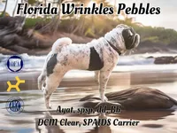 processed/117e6157-72f3-4e27-a69c-edcbc1bf6289/facility/965e7c6f-483f-4018-936f-130b41fea004