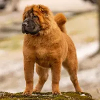 processed/117e6157-72f3-4e27-a69c-edcbc1bf6289/facility/ecdf0e87-8559-41fb-8dd5-a7846360b55a