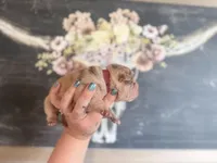 Jelly Belly, a female Chinese Shar-Pei for sale in Lehigh Acres, FL – Photo 3 of 7