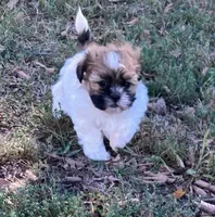 processed/117f7021-e078-4c17-bd24-9d651b448a31/facility/285d5f2b-8052-4807-bb56-8db3ae648e95