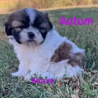 processed/117f7021-e078-4c17-bd24-9d651b448a31/facility/49daa473-aea8-41d2-a697-e51bfe3e7151