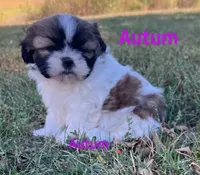 processed/117f7021-e078-4c17-bd24-9d651b448a31/facility/49daa473-aea8-41d2-a697-e51bfe3e7151