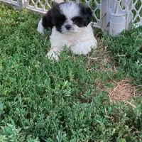 processed/117f7021-e078-4c17-bd24-9d651b448a31/facility/4a542fa5-d95e-4a63-890e-0e61aadd631e