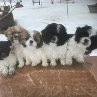 processed/117f7021-e078-4c17-bd24-9d651b448a31/facility/623297da-75ed-4117-a57f-e9207084331a