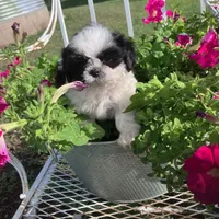 processed/117f7021-e078-4c17-bd24-9d651b448a31/facility/6ce08630-b351-4830-83ee-32e5b9727ba4