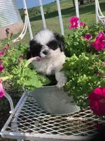 processed/117f7021-e078-4c17-bd24-9d651b448a31/facility/6ce08630-b351-4830-83ee-32e5b9727ba4