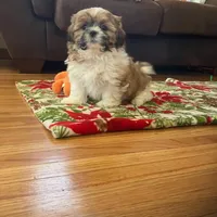 processed/117f7021-e078-4c17-bd24-9d651b448a31/facility/9095ece8-1ea8-45b7-9781-d17d4d92838e