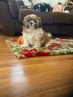 processed/117f7021-e078-4c17-bd24-9d651b448a31/facility/9095ece8-1ea8-45b7-9781-d17d4d92838e