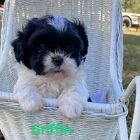 processed/117f7021-e078-4c17-bd24-9d651b448a31/facility/aea43068-8e44-4269-b235-f296e734e516