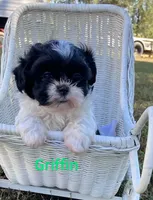 processed/117f7021-e078-4c17-bd24-9d651b448a31/facility/aea43068-8e44-4269-b235-f296e734e516