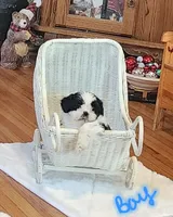 processed/117f7021-e078-4c17-bd24-9d651b448a31/listing/c14ed608-4328-4427-9b35-015d6ac52dd0/36adce17-ed89-4980-9e8a-b47fa8e93ce5