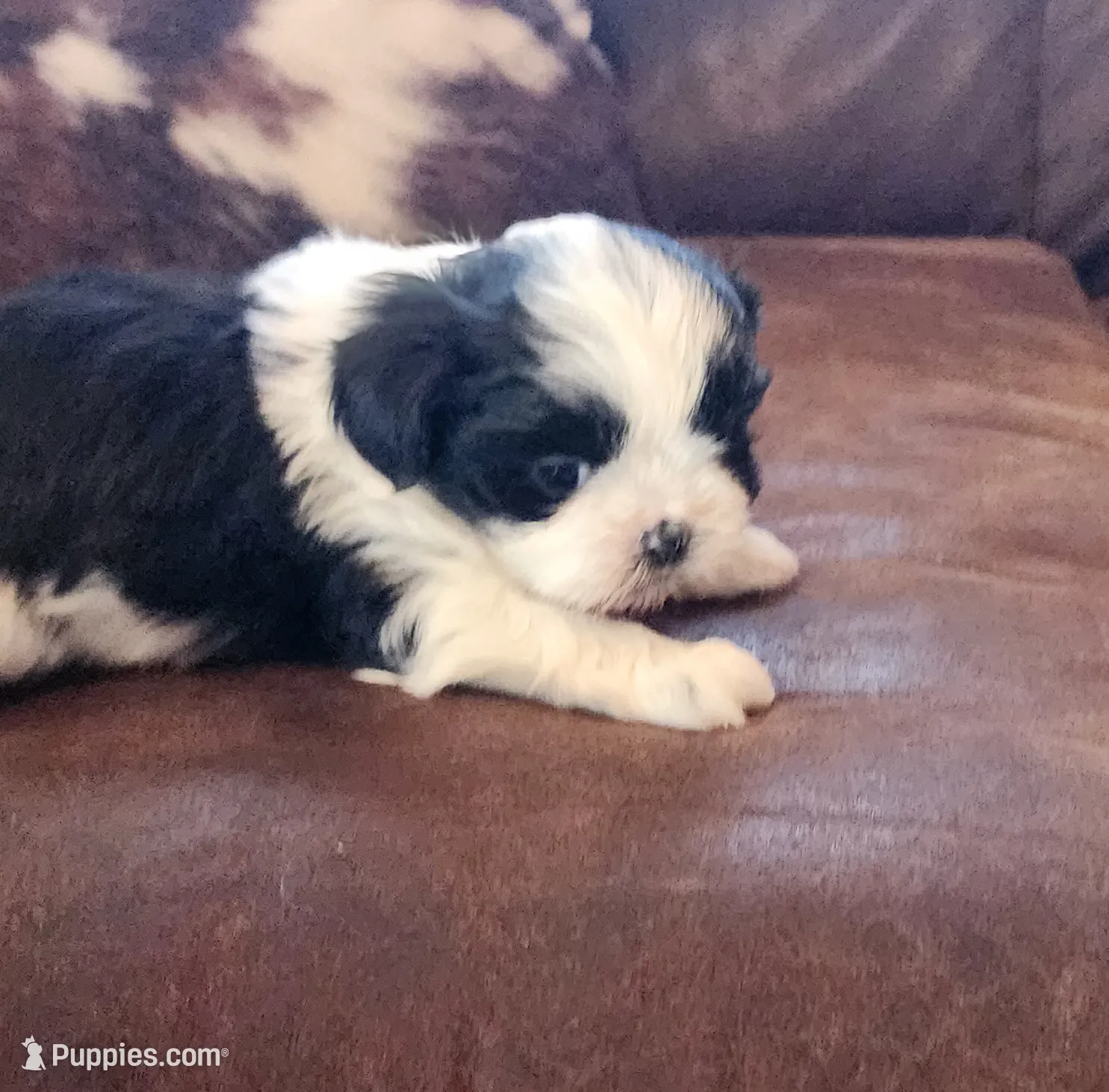 processed/117f7021-e078-4c17-bd24-9d651b448a31/listing/c14ed608-4328-4427-9b35-015d6ac52dd0/60ddb58f-1f3f-4e01-bd3a-3b3137857a25