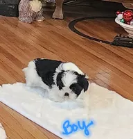 processed/117f7021-e078-4c17-bd24-9d651b448a31/listing/c14ed608-4328-4427-9b35-015d6ac52dd0/aa387381-bcc8-44b5-8643-eeb352af3828