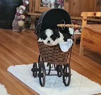 processed/117f7021-e078-4c17-bd24-9d651b448a31/listing/c14ed608-4328-4427-9b35-015d6ac52dd0/f3816165-b0a4-4155-8db7-5ccee4154e0c