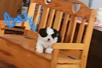 processed/117f7021-e078-4c17-bd24-9d651b448a31/listing/c14ed608-4328-4427-9b35-015d6ac52dd0/fc7fb0de-f600-497b-a7b5-13c8bce3a859