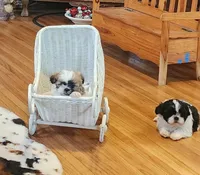 processed/117f7021-e078-4c17-bd24-9d651b448a31/listing/edfc93f1-f08d-4759-9183-196aedbcef1e/33c943d8-e517-4d00-8aeb-f9e9ab905e2e