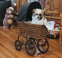 processed/117f7021-e078-4c17-bd24-9d651b448a31/listing/edfc93f1-f08d-4759-9183-196aedbcef1e/e67408e8-7b5e-4a79-8049-8143d997dd98