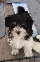 processed/119581aa-0bc3-4e3e-9205-4250c41c1678/listing/271eb223-6e2c-49f3-a1fa-bd7f5b5fd2fd/916dc1bc-3b4c-4276-bbfd-25e24f5f4edc